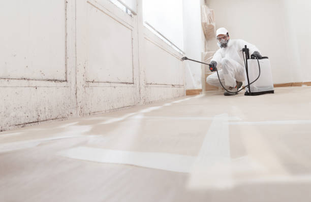 24/7 Emergency Commercial Mold Remediation experts in Greenville, NC